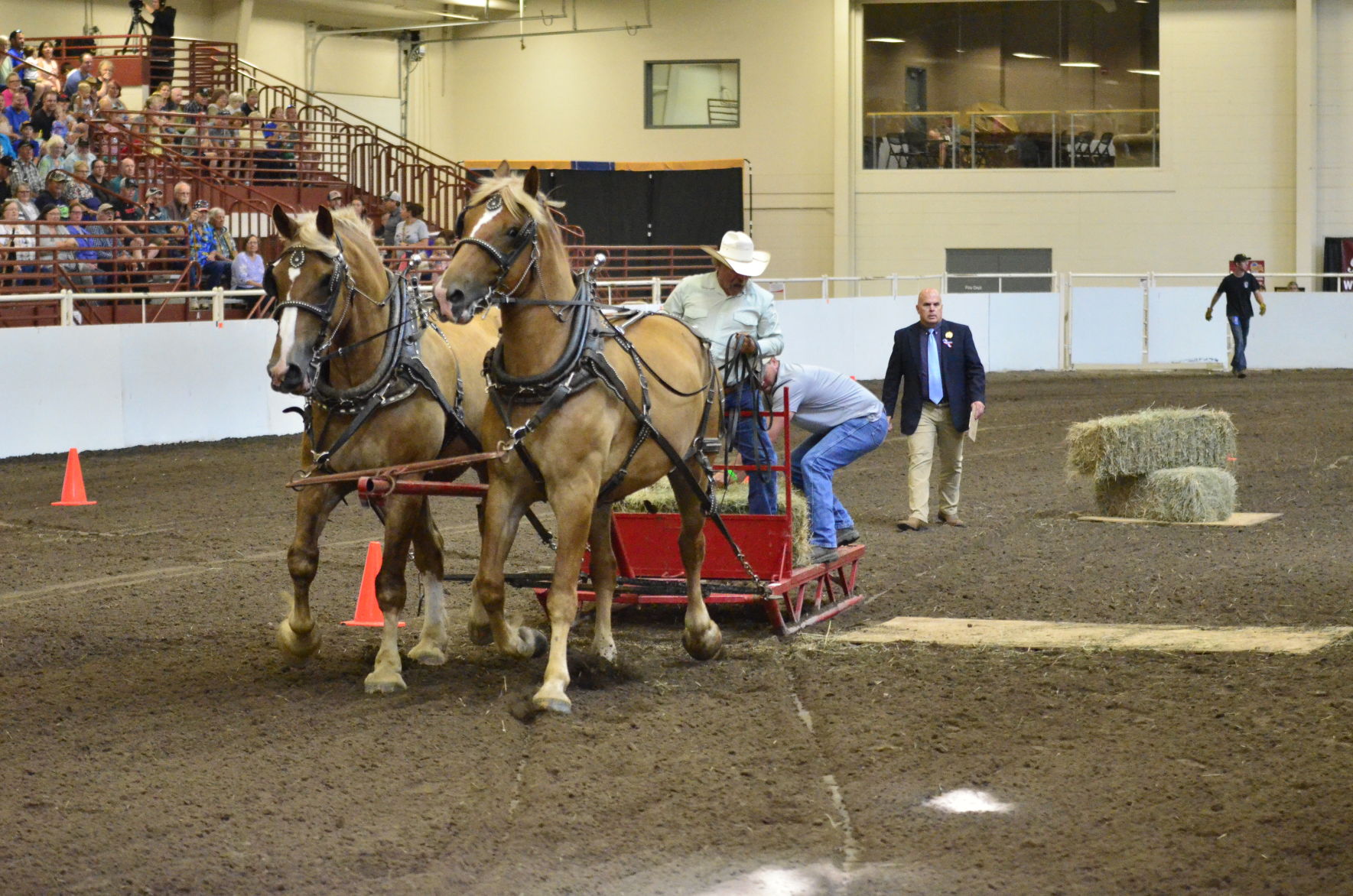 8-25-19 Draft Horse Hitch Final (7).JPG